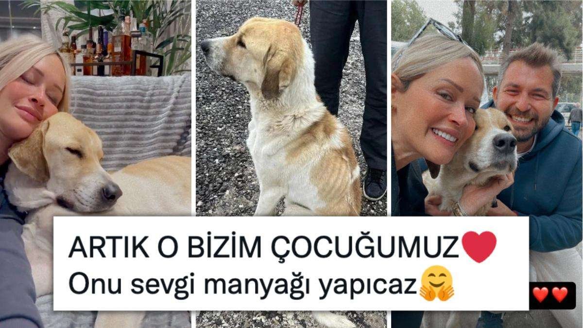 Meriç Keskin, Konya Barınağı’nda Başına Kürekle Vurulan Köpeği Sahiplendi!