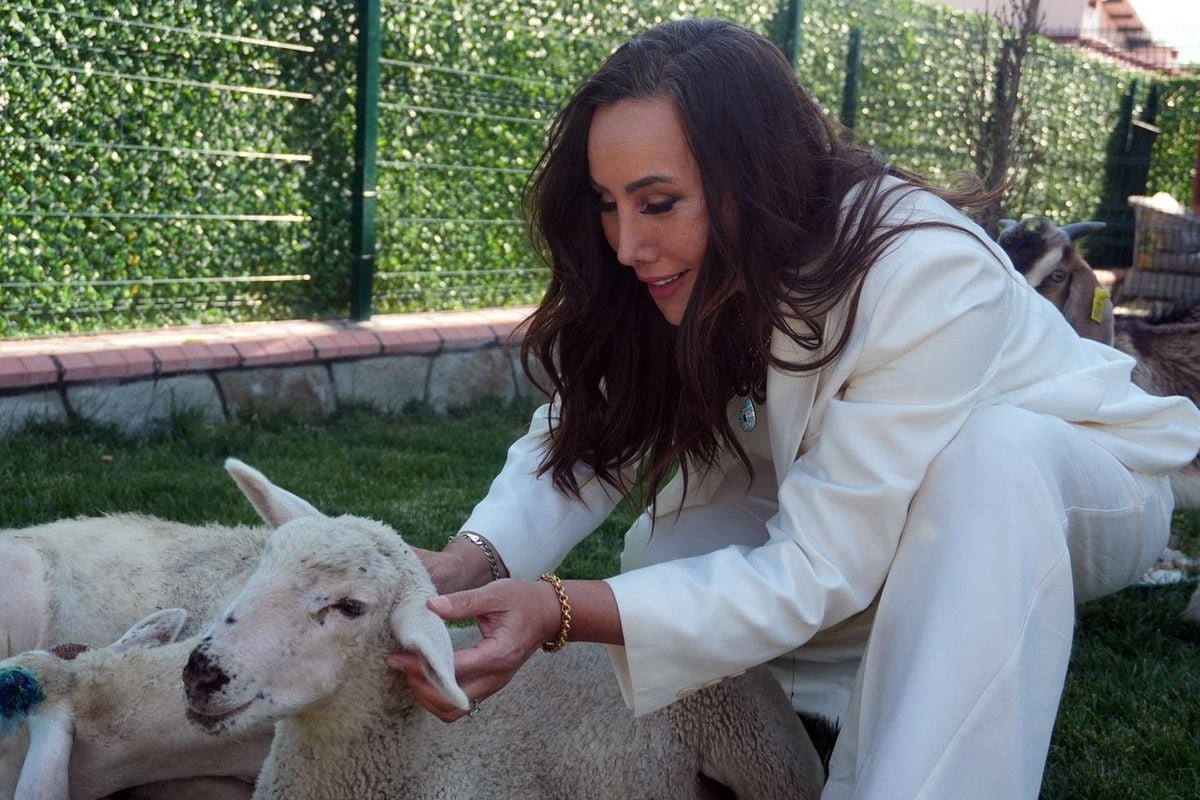 Asena, “ağabeyim” dediği insanla aşk yaşamaya başladı